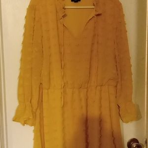 COPY - Custom Bundle for TV